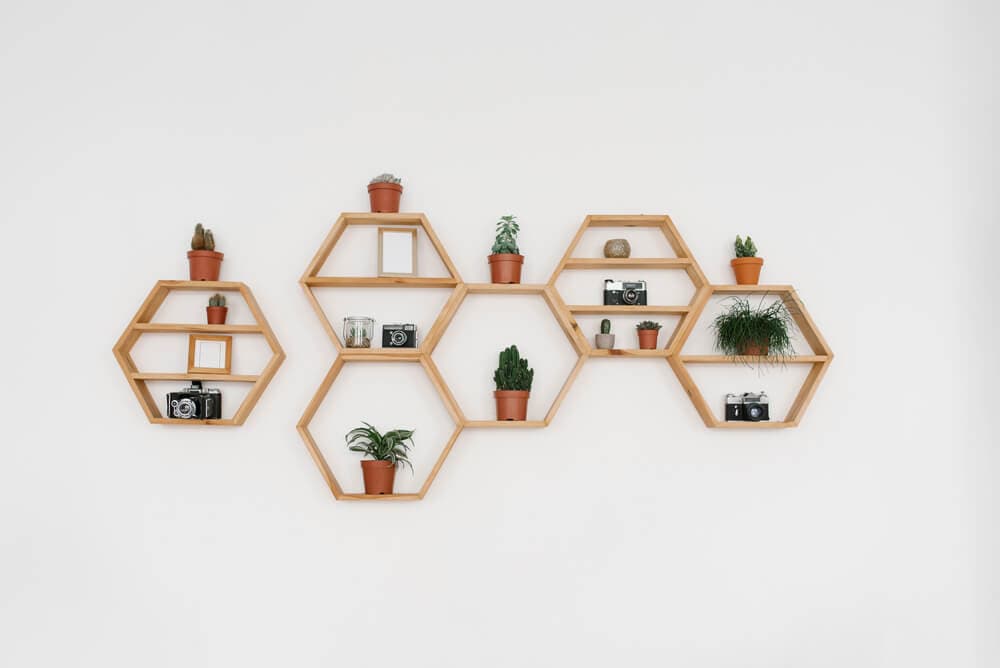 קיר ירוק – אמנות קיר חיה