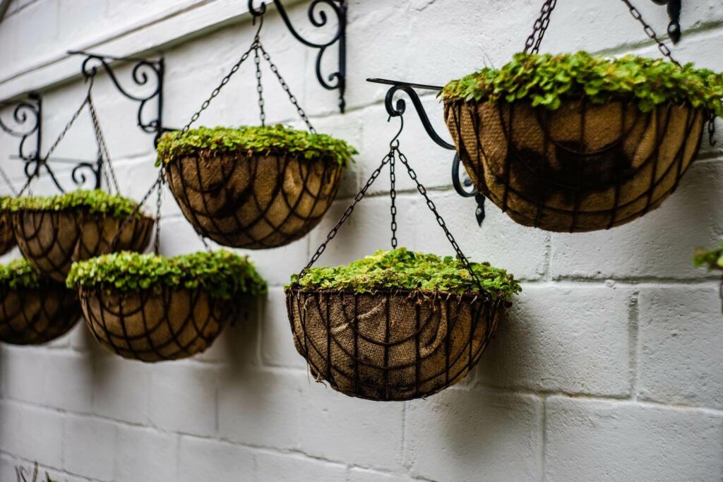 קירות ירוקים עשה זאת בעצמך