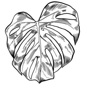 תמונות מתכת מיוחדות